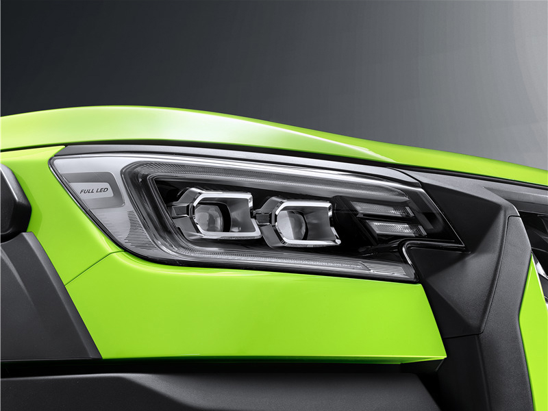 RICH 7 TIGER ROAR VERSION05